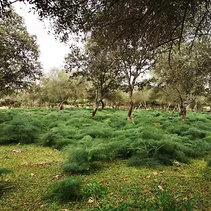 La Fuensanta Hornachuelos